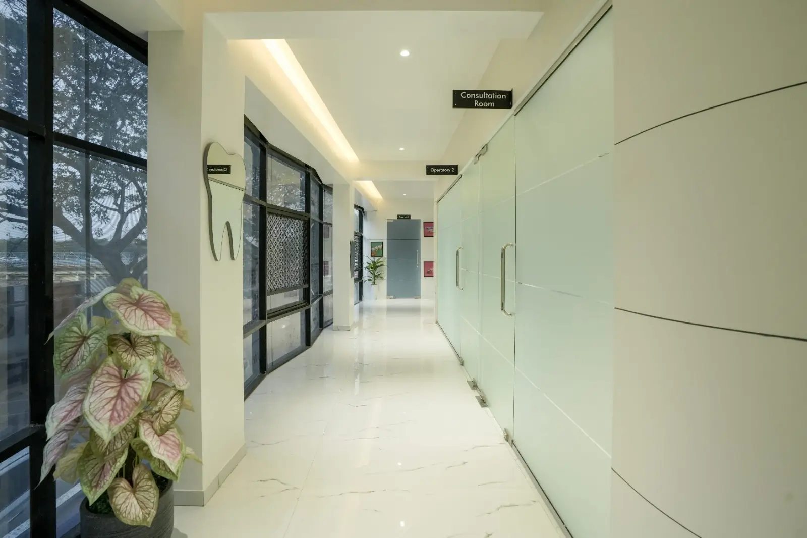 RevaDent clinic corridor – Consultation Room and Operatory 2 signs